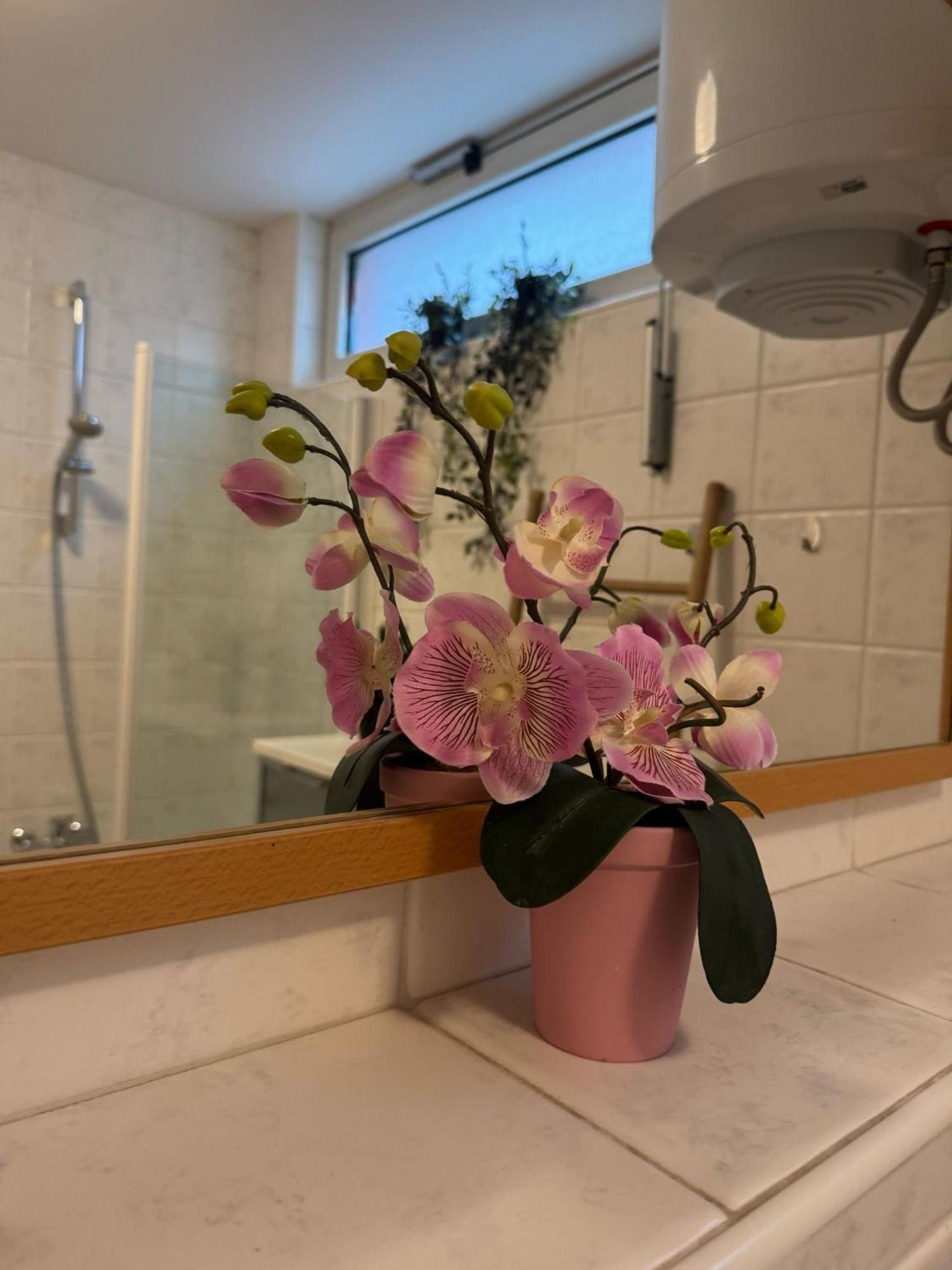 Lorena App Apartment